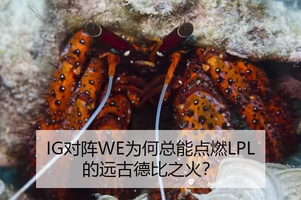 IG对阵WE为何总能点燃LPL的远古德比之火？